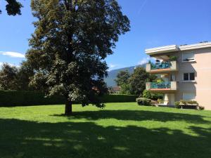 Appartements Appartement Standing 55m2 - Terrasse Sud, Parking, Wifi : Appartement avec Vue sur la Montagne