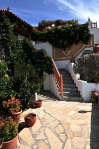 Villa Katina Apartments Samos Greece