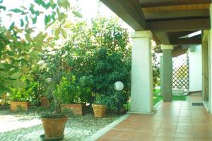 Villa Raffaello img26