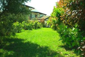 Villa Raffaello img25