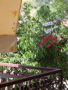 Stamoulis Apartments Kefalloniá Greece