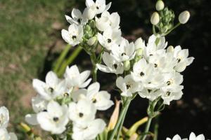 Verdemare Sardegna Uno img29