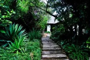 Birch Tree Cottage - Northriding