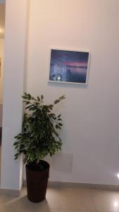 Apartments Brides Rock