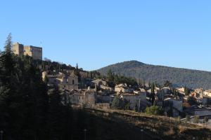 Appartements Les Toits De Vaison : photos des chambres