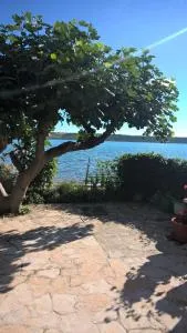 Apartment Danica - 波吉卡