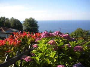 Marelmy Pelion Greece