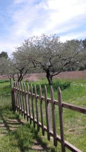 Maisons de vacances Le Clos Olives : photos des chambres