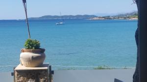 Epavlis Beach Resort Argolida Greece