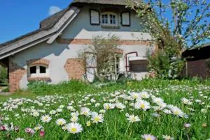 Ferienhaus unterm Reetdach - Neuensien