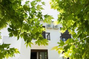 Saonisos Nisos-Samothraki Greece