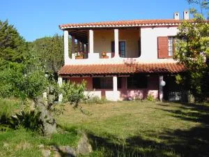 La Cuppulata - Agrustos