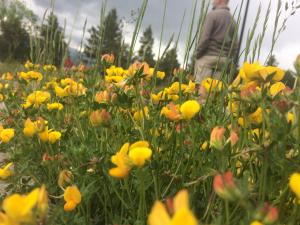 Appartements Le Jardin de Font Romeu : photos des chambres