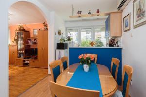 Comfortable and fully furbished apartment Karolina in the center