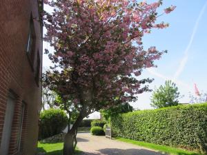 Ferienwohnungen Biberhüs