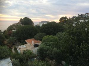 Alkyonis Apartments Kalymnos Greece