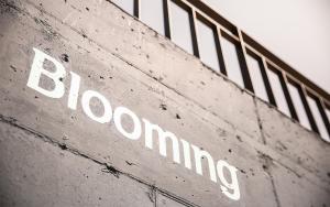 Yeosu Blooming Pension