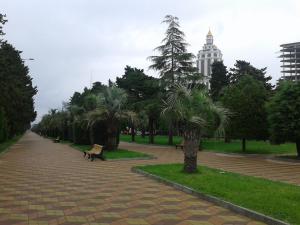 Apartment on Inasaridze