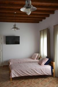 Villa Pergola Andros Andros Greece