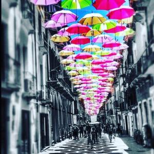 B&B Quintino Sella img48