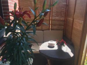Apartament w Ogrodach Paulinum