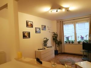 Appartement Ferienwohnung Amalie Apolda Duitsland