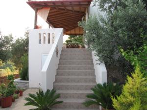 Elia house 1 astoning sea view among the olive trees Alonissos Greece