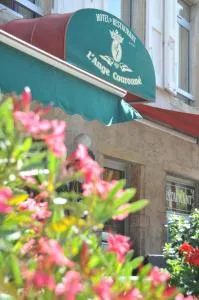 Logis Hotel L'ange Couronne - 索恩河畔贝尔维尔