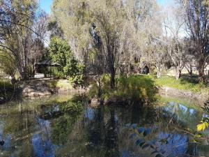 Elands River Lodge, Chaty - Machadodorp