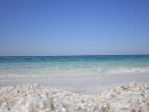 Stella Del Sud img92