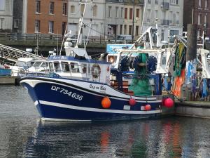 Appart'hotels Voiles et Terrasses Le Treport : photos des chambres