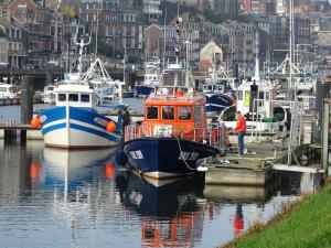 Appart'hotels Voiles et Terrasses Le Treport : photos des chambres