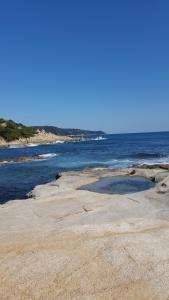Appartements Mas de la Petite Jeanne : photos des chambres
