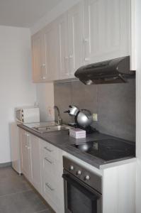 Modern and Cozy Apartment