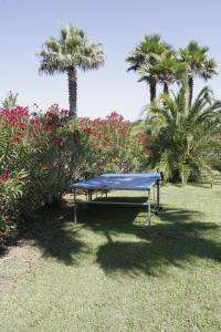 Clos des Vignes Pampelonne Vineyard