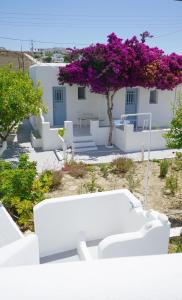 Yiannis Studios Paros Greece