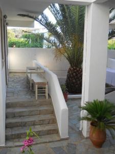 Joanna Apart - Hotel Patmos Greece