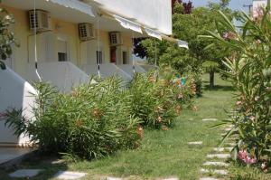 Studio Ground Floor (3 adults) room in Posidi Studios