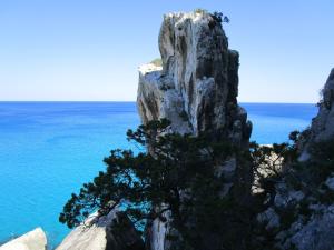 Agriturismo Su Tiresi img31