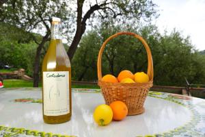 Colibrì - Holiday Home Costadoro