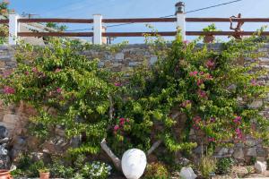 Villa Pelagos Sifnos Greece