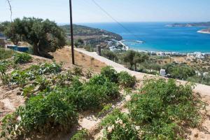 Villa Pelagos Sifnos Greece