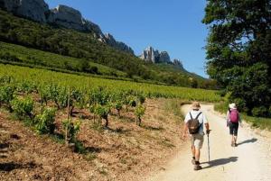 Maisons d'hotes Le Clos Saint Saourde : photos des chambres