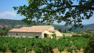 Maisons de vacances Gite Vigneron du Domaine d'Alon : photos des chambres