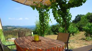 Maisons de vacances Gite Vigneron du Domaine d'Alon : photos des chambres