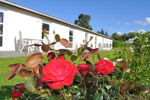 Koebenhovedskov Bed & Breakfast