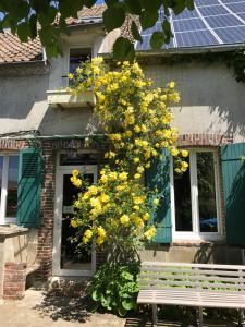 Maisons d'hotes Residence La Beauceronne : Chambre Double Supérieure