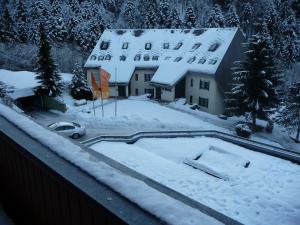 Haus Dachsberg Todtmoos