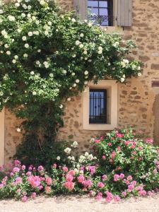 Maisons d'hotes Le Clos Saint Saourde : photos des chambres