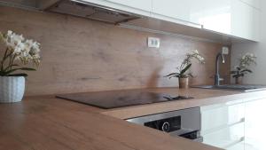 Villa-Apartments Karmel